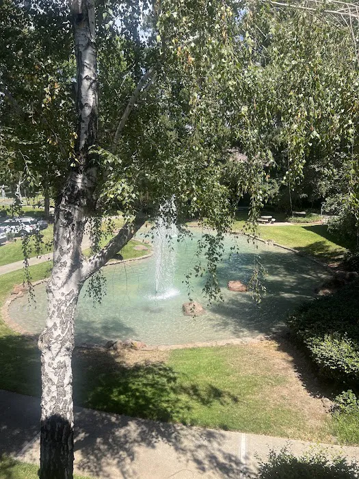 Rejuvene' Medical Aesthetics Picture 4