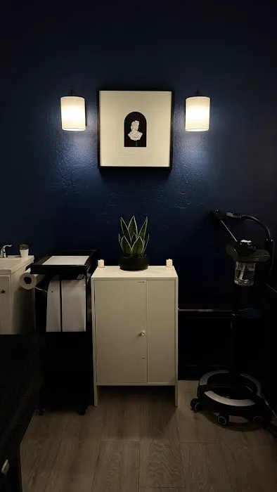 Navarro Skin Picture 7