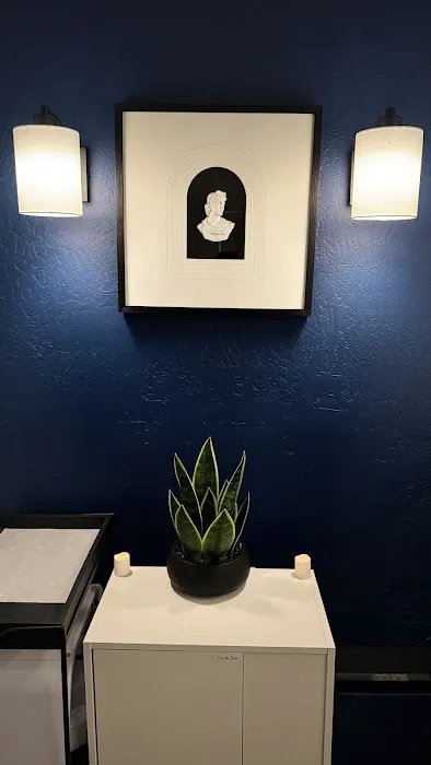 Navarro Skin Picture 3