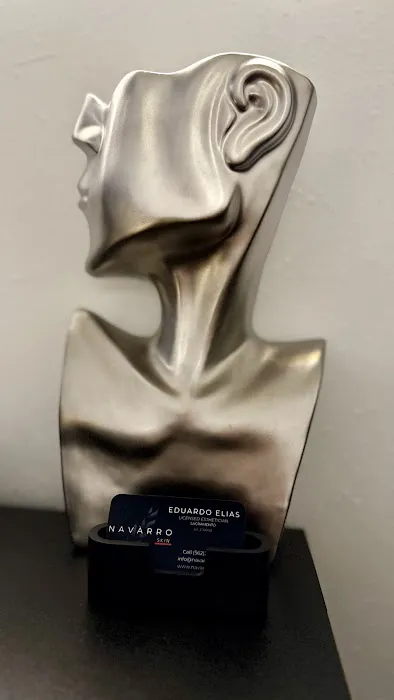 Navarro Skin Picture 2