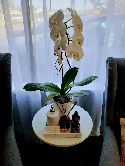 Beautycology Skin Care Clinic Picture 5