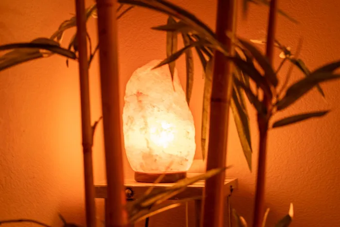 Beauty Within Picture 7