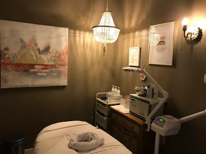 The Facial Bar Picture 1