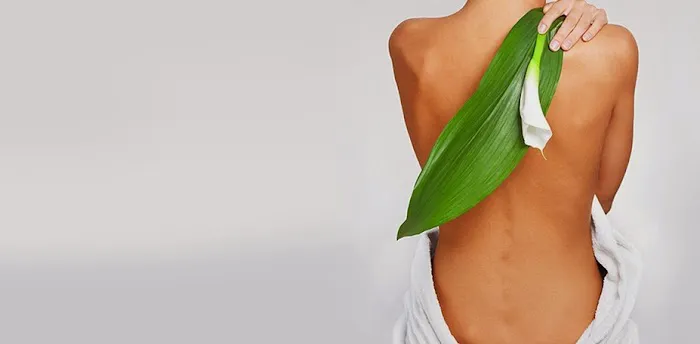 The Aesthetics Corner Picture 8