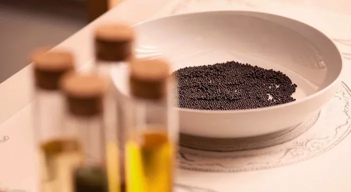 The Aesthetics Corner Picture 10