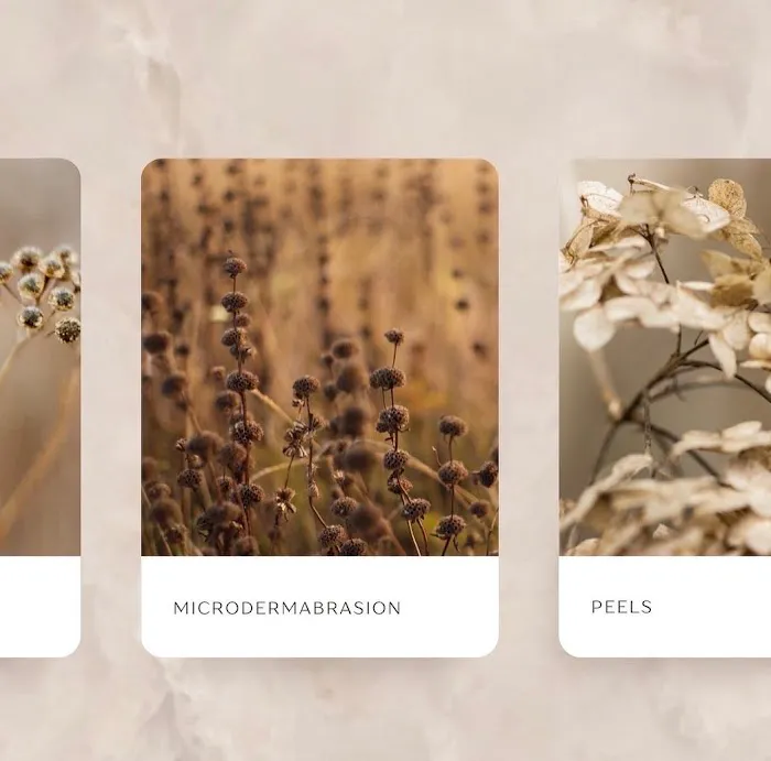 Solace Rose Beauty Picture 4