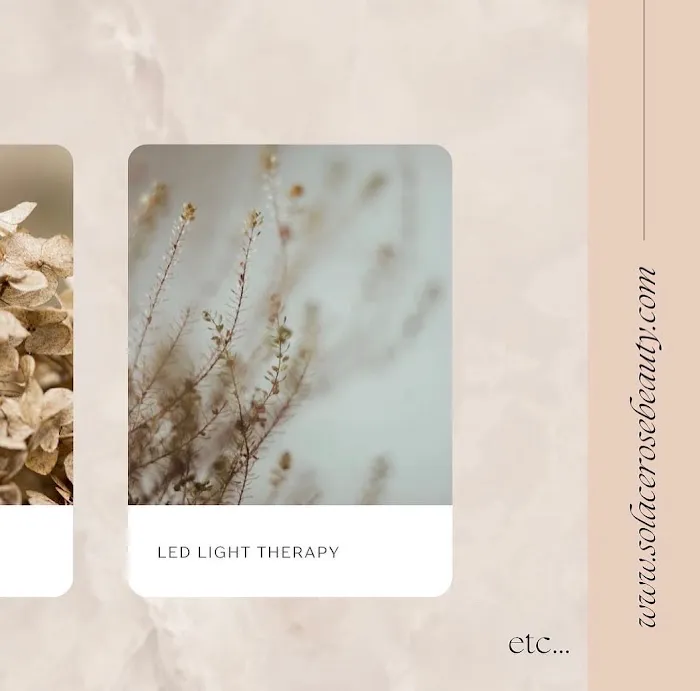 Solace Rose Beauty Picture 1