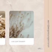 Solace Rose Beauty ico