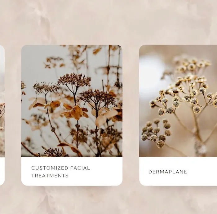 Solace Rose Beauty Picture 3