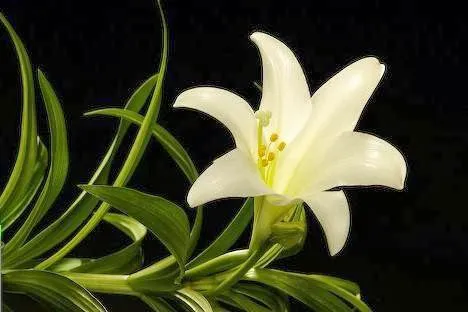 The Skin Studio Picture 5