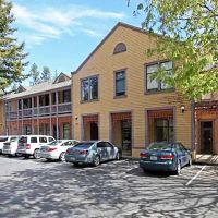 Berman Skin Institute | Medical & Cosmetic Dermatology ico