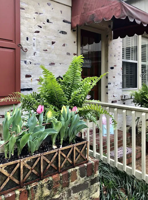 Mona Esthetics Picture 4