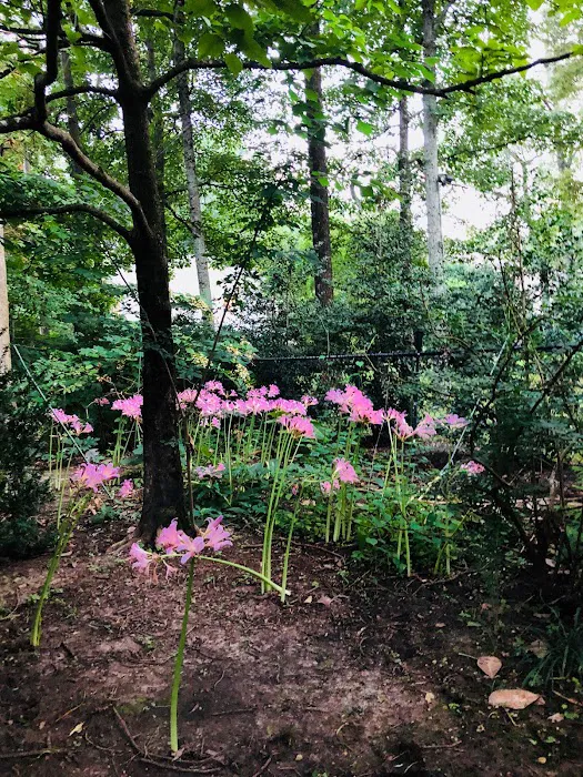 Mona Esthetics Picture 9