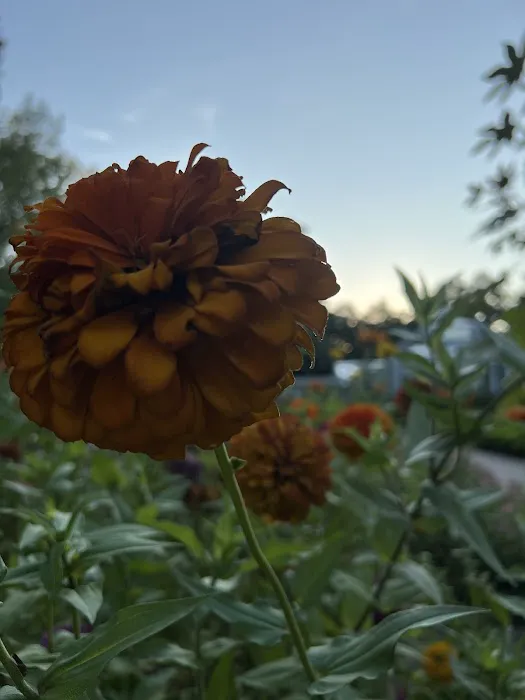 Ori Aesthetics, LLC Picture 2