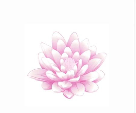 Selah Aesthetics and More