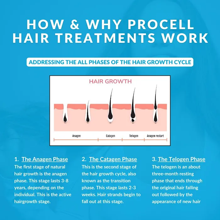 JANE RONELLE aesthetics Picture 4