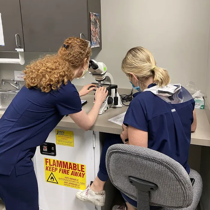 The Skin Surgery Centre Picture 10