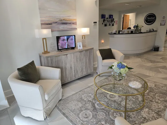 Carlino Aesthetics, Formerly The Museum Spa & Laser Center Picture 1