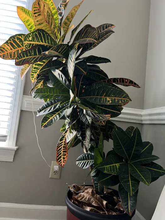 Nora Skin Spa Picture 5