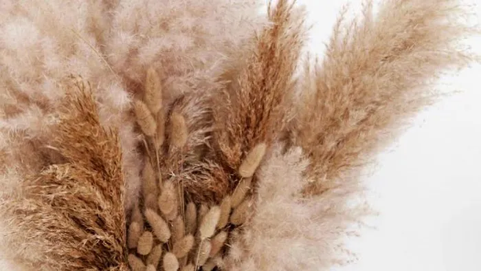 Purely Med Spa Picture 6