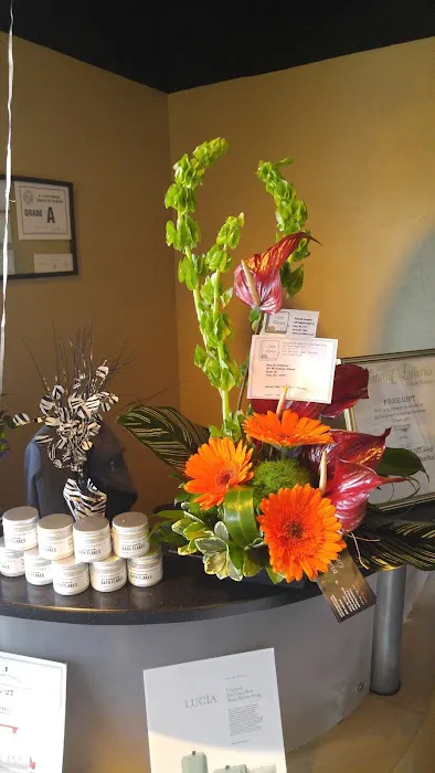 Natural Esthetics Skincare & Lash Boutique Picture 7