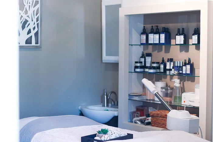 Natural Esthetics Skincare & Lash Boutique Picture 1