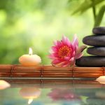 Divine Aesthetics, Inc