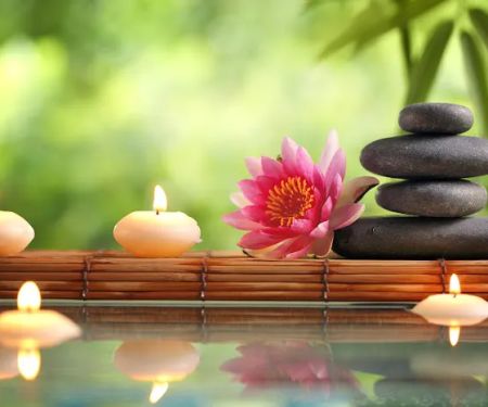 Divine Aesthetics, Inc