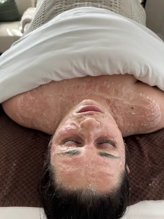 The Holistica Hive Picture 1