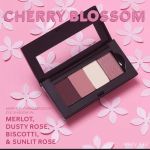 Amazing Flawless Beauties by Donna Lynn