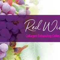 Hydra Skin Care Studio Inc ico