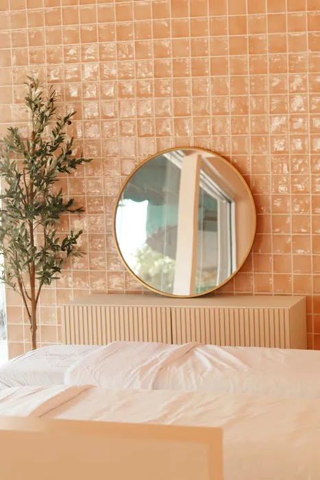 Daily Habits Wellness Club Picture 6