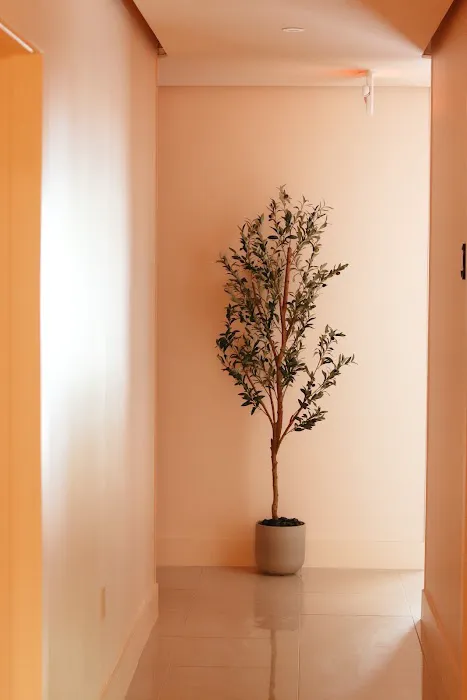 Daily Habits Wellness Club Picture 5