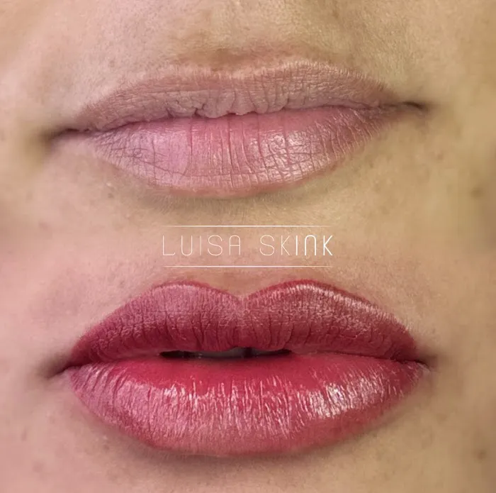 Luisa Skink Picture 4