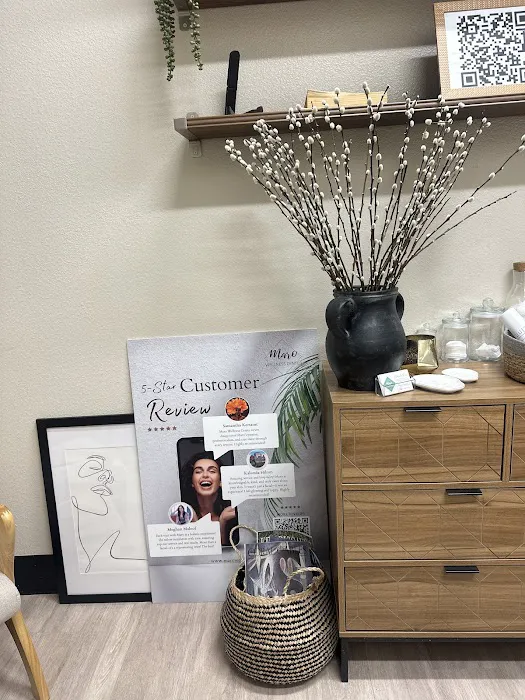 Maro Wellness Center Miami Picture 9