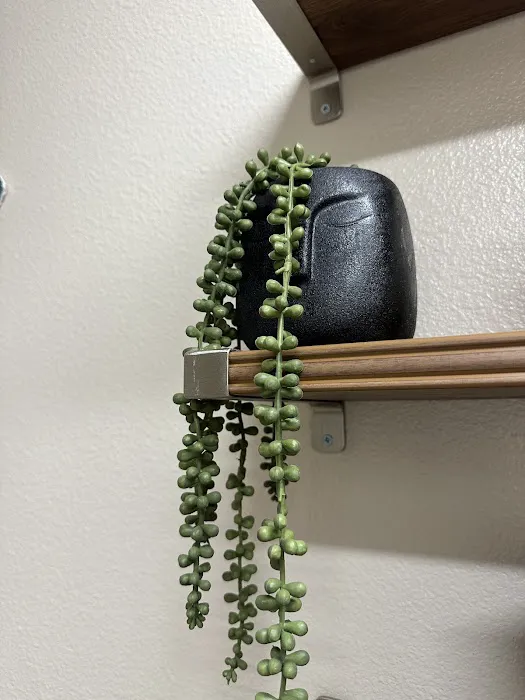 Maro Wellness Center Miami Picture 7