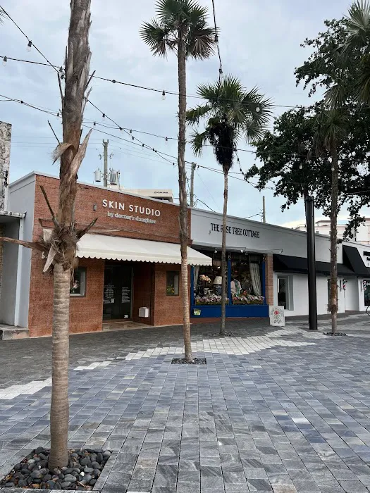 Skin Studio by Doctor's Daughter Picture 5