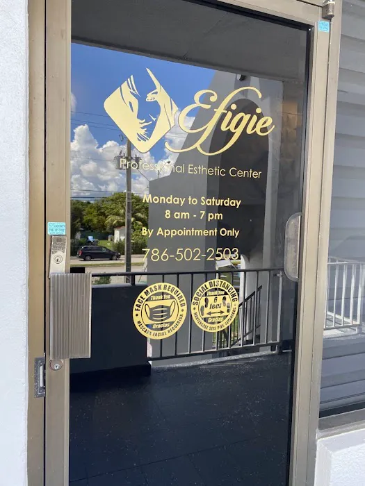 Efigie Med Spa Picture 9
