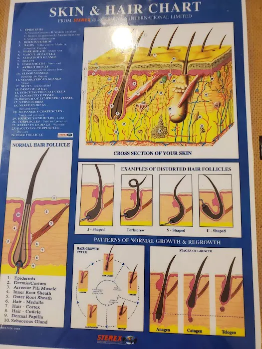 Eva Taub Real European Skin Picture 5