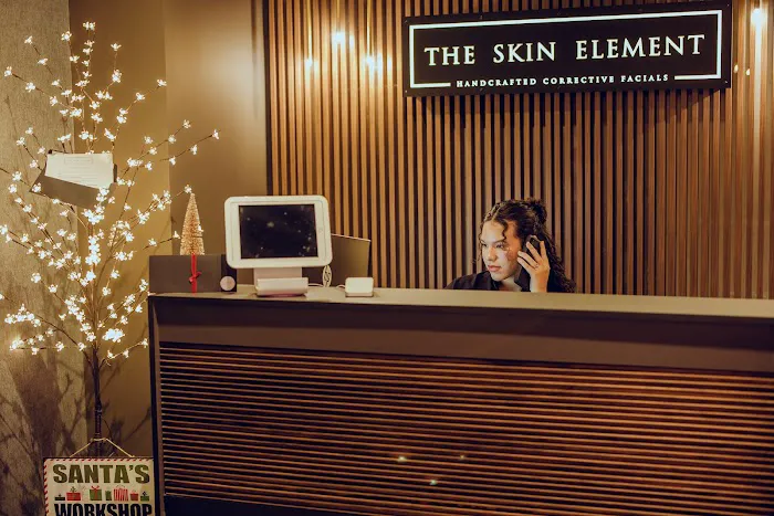 The Skin Element Picture 6