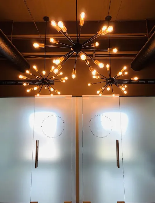 The Skin Element Picture 4