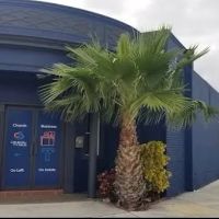 Bel Polika Skin care ico