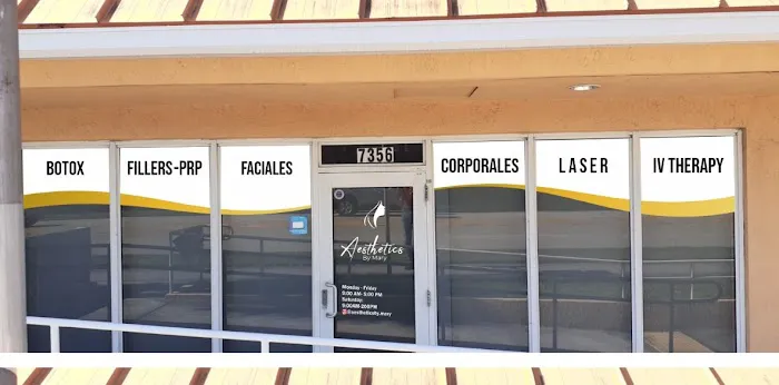 Aesthetics by Mary Picture 3