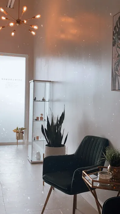 Skin Lounge Picture 4