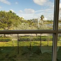 Hollywood Dermatology & Cosmetic Surgery Specialists ico