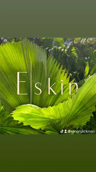 E Skin Picture 8