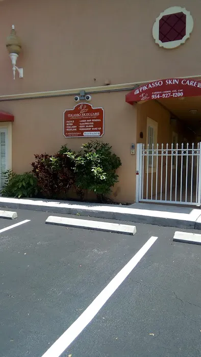 Pikasso Skin Care Picture 2