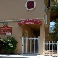 Pikasso Skin Care ico