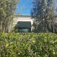 Transform Age Management ico