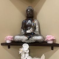 Buddha Baby Skincare ico